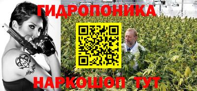 амф Бердск