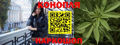 амф Бердск