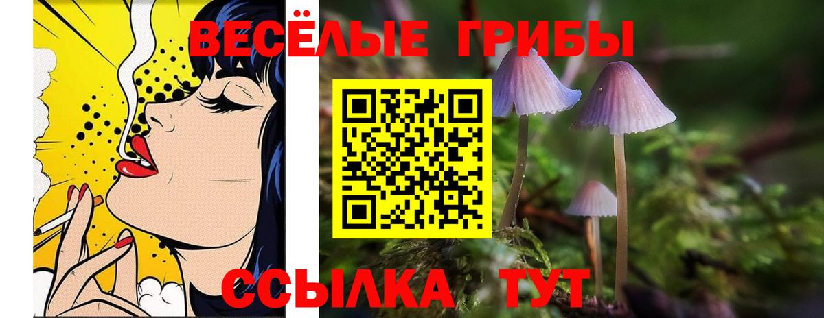 Псилоцибиновые грибы ЛСД Железногорск